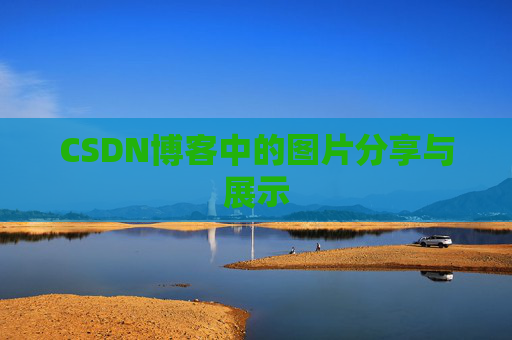 CSDN博客中的图片分享与展示
